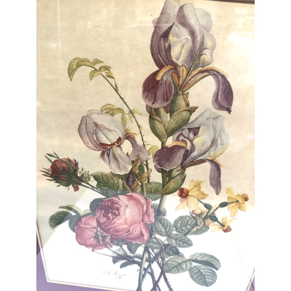 Vintage Jean Louis Prevost Iris Roses and Narcissus Print Framed with Mat/Glass - Picture 2 of 4